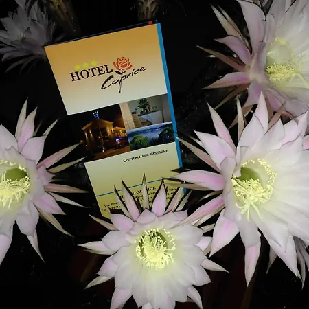 Hotel Caprice